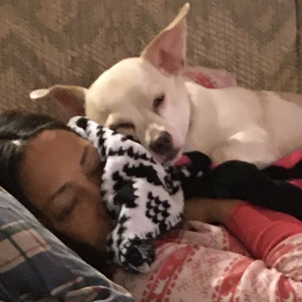 PET FRIENDLY - Picture 8 of 8